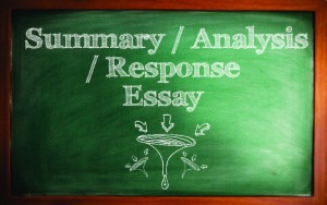 difference between essay and report writing